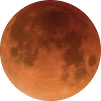 MARS Management logo - Similar company to Little Dove Solutions