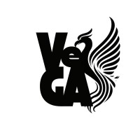 Veiga Studios logo - Similar company to Agência Mestre Atitude | Especialistas Em Marketing Digital Para Saúde