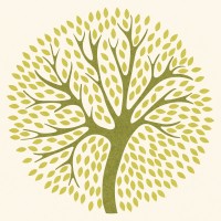Fundación El Árbol logo - Similar company to La Caja Verde