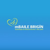 Our Balbriggan logo - Similar company to Demolition Take Down