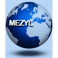 Mundo Electronic ZYL