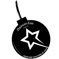 Platinum East logo - Similar company to Ukrainian Action