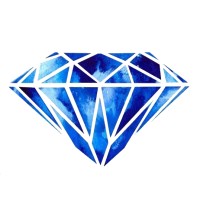 Blue Diamond Experiences logo - Similar company to New Vision