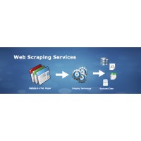 Web Scraping | Email Scraping Services logo - Similar company to Web Crawling