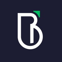 BrillianceDrive logo - Similar company to Nanhagyan Foundation