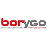 BorygoSpain logo - Similar company to Maflow 3D