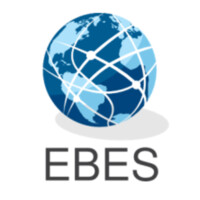 EBES LLC logo - Similar company to Protheus