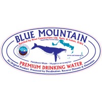 Blue Mountain Water logo - Similar company to Blue Mountain Water