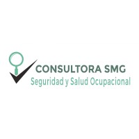 Consultora SMG logo - Similar company to Consultora Pi