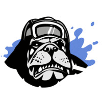 Dive Dogs logo - Similar company to Vendex