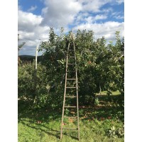 Orchard Run Capital & Advisory L.L.C.