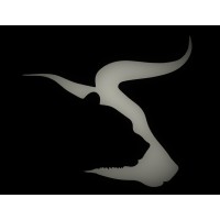 Adaptivus Holding logo - Similar company to Gowell