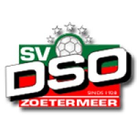 sv DSO Zoetermeer logo - Similar company to Now-E