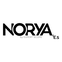 Norya.es logo - Similar company to Expert Scope