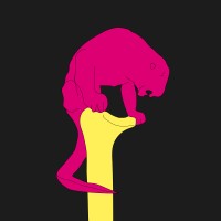 Aachen, was geht?! logo - Similar company to Createanapi.Com