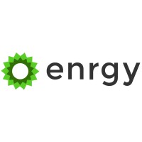 Enrgy logo - Similar company to Pds Infrastructure Systems