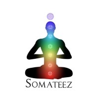 Somateez logo - Similar company to Hercedesign