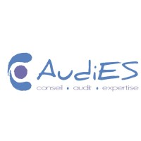 AudiES logo - Similar company to Bocobox
