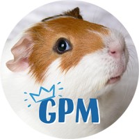 Guinea Pig Magazine logo - Similar company to Haypigs!®