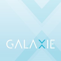 GALAXIE PRO logo - Similar company to Napack
