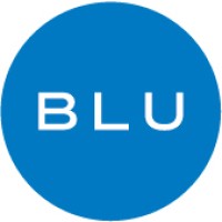 BLUSOURCE logo - Similar company to V