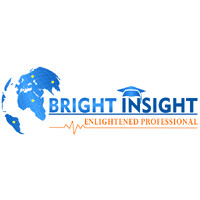 Bright Insight logo - Similar company to Bright Insight