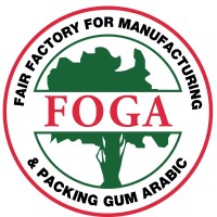 FOGA Gum logo - Similar company to Kāko Chocolate