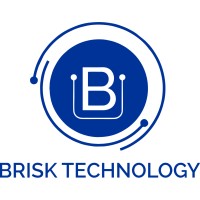 Brisk Technology Solutions logo - Similar company to Deep Level