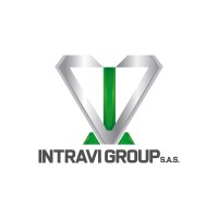Intravi Group sas logo - Similar company to Softlite Impex
