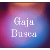 Gaja Camilla Busca - progetti culturali logo - Similar company to Giardino Dei Tarocchi