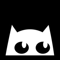 Stranded Cat logo - Similar company to Smart Cat Solutions