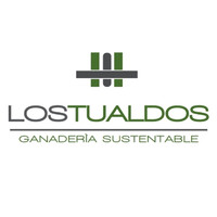 LOS TUALDOS logo - Similar company to Grupo Sur