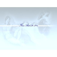 Fine Arts (UK ) Ltd logo - Similar company to Techstyler