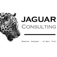 JAGUAR CONSULTING logo - Similar company to Jaguar Consulting (Jaguar Ventures Ltd)