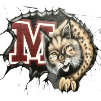 Manzanola School District 3J