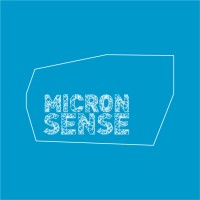 Micronsense logo - Similar company to S4Metro - Solutions For Metrology