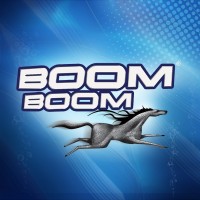 Boom Boom Jordan logo - Similar company to Habanakeh Group