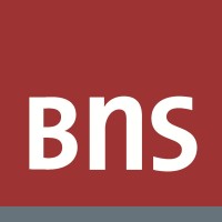 BNS International GmbH logo - Similar company to Bzroller Ug