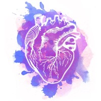 Vena Cava Productions logo - Similar company to English Teachers Association Of Qld