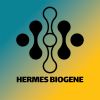 Hermes Biogene logo - Similar company to Pars Gene Entekhab