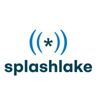 Splashlake logo - Similar company to Bssn Software
