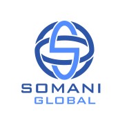 Somani Global logo - Similar company to Vianovai.Ai