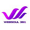 Websoul 360 logo - Similar company to Digikhel