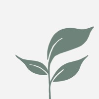 Wholesome World logo - Similar company to Sensus Group