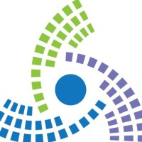 DataWise System Inc logo - Similar company to Appnostic Consulting