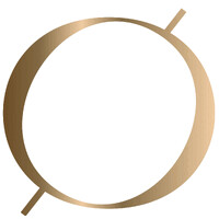 Waylan Global, LLC logo - Similar company to The Influencer, Llc