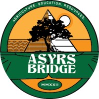 Asyrs Bridge