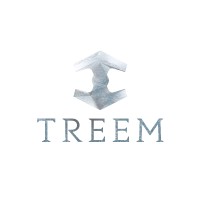 TREEM logo - Similar company to Buzuuk Software