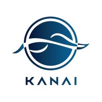 Kanai Cross Border Consultants logo - Similar company to Doc 24/7