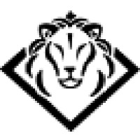 Panthera Technologies logo - Similar company to Tidal Infotech India